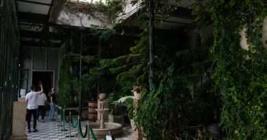 Три дворца: Массандровский, Ливадийский и Воронцовский. — фото 24