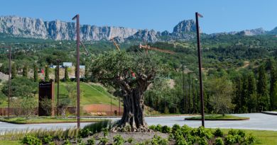 Тур Мечты (Mriya resort - Японский сад, Винный парк) - Форосский парк - фото 12