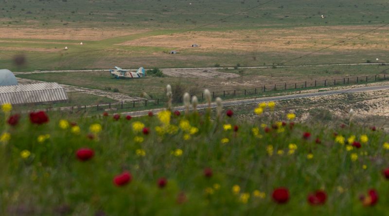 Фото Киммерийская Мозаика - вид 17