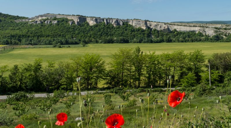 Фото Селфи-тур «Лаванда» - вид 31