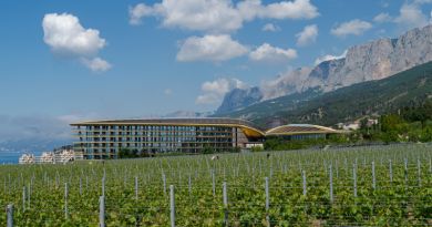 Тур Мечты (Mriya resort - Японский сад, Винный парк) - Форосский парк - фото 11