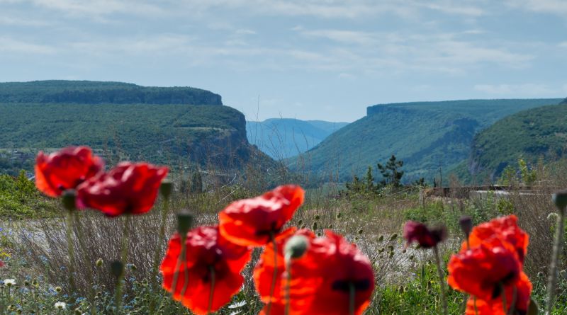 Фото Селфи-тур «Лаванда» - вид 33