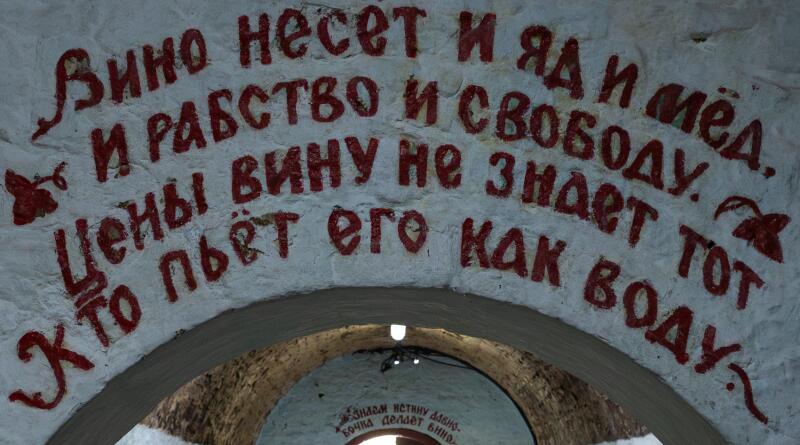 Фото Царство виноградной лозы - вид 30