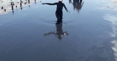 Целебные грязи — фото 3