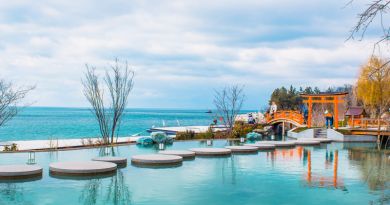 Тур Мечты (Mriya resort - Японский сад, Винный парк) - Форосский парк - фото 21
