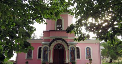 Топловский женский монастырь  св. вмч. Параскевы — фото 3