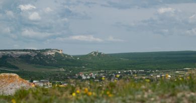 Селфи-тур «Лаванда» - фото 14