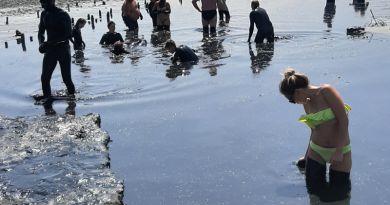 Целебные грязи — фото 1