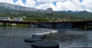 Тур Мечты (Mriya resort - Японский сад, Винный парк) - Форосский парк - фото 13