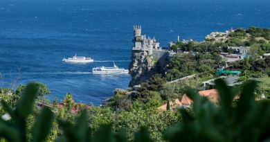 Три дворца: Массандровский, Ливадийский и Воронцовский. — фото 36